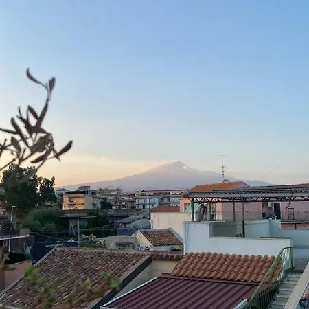 Curia Catania